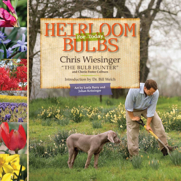 HB book cover low res